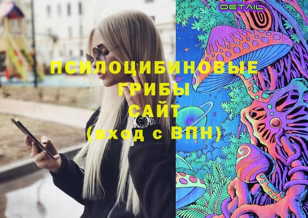 эйфоретик Новодвинск