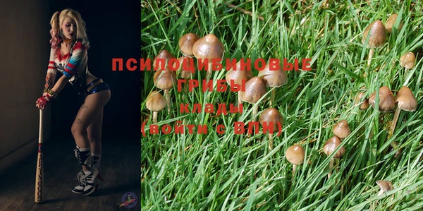 MDMA Нефтегорск