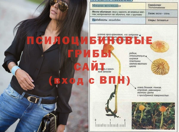 ALPHA PVP Новокубанск